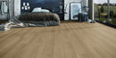 Invictus Maximus Glue-Down Plank LVT Highland Oak - Sunrise - Easy Floor Store