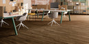 Invictus Maximus Glue-Down Plank LVT Norwegian Wood - Tobacco - Easy Floor Store