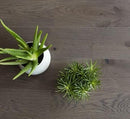 BerryAlloc Parquet Les Essentiels 3 Frises Silex Rustic 1 - Easy Floor Store