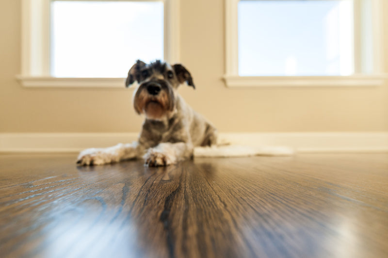 Which floor is better for your home - Laminate or Engineered Wood?