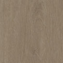 Invictus Maximus Glue-Down Plank LVT Plank Elegant Oak - Tan - Easy Floor Store