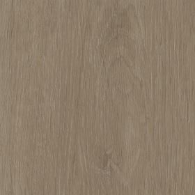 Invictus Maximus Glue-Down Plank LVT Plank Elegant Oak - Tan - Easy Floor Store