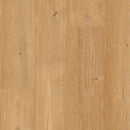 Floorify Frangipane F095 Click Luxury Vinyl XL Plank - Easy Floor Store
