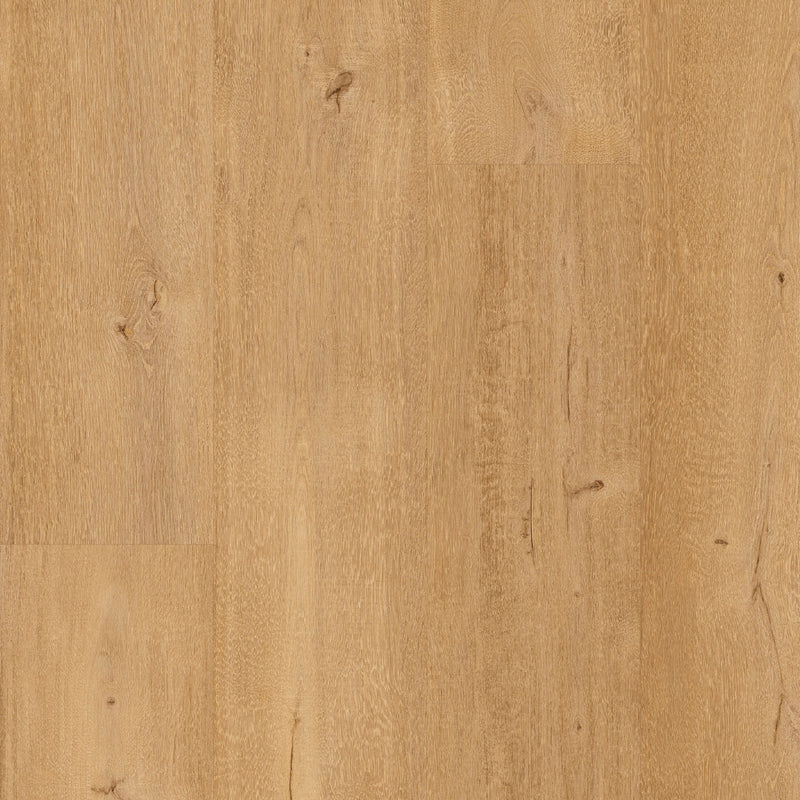 Floorify Frangipane F095 Click Luxury Vinyl XL Plank - Easy Floor Store