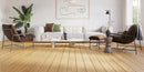 Invictus Maximus Glue-Down Plank LVT Natural Teak - Amber - Easy Floor Store