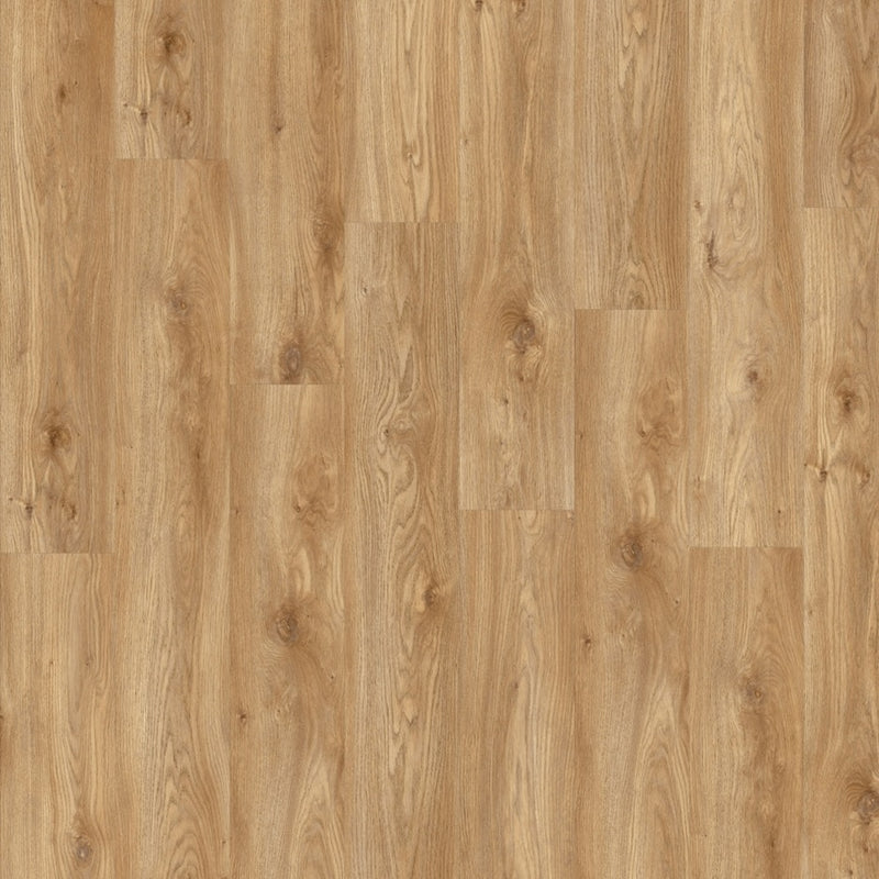 Moduleo Roots 55 LVT Plank EIR Sierra Oak 58346 - Easy Floor Store