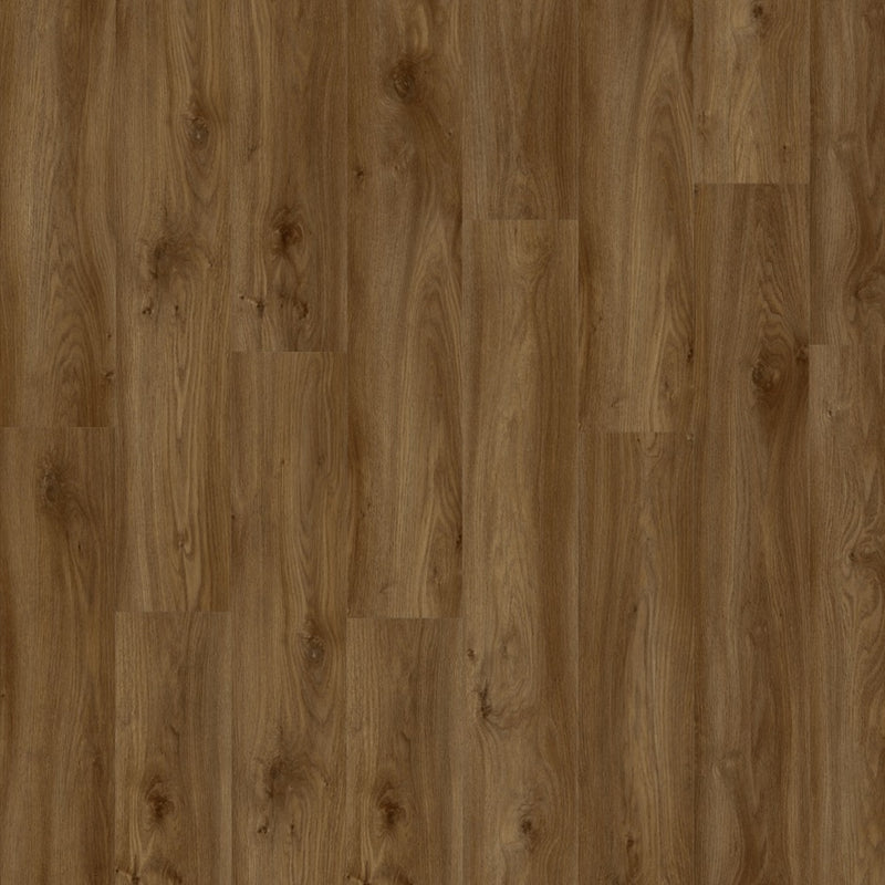 Moduleo Roots 55 LVT Plank EIR Sierra Oak 58876 - Easy Floor Store