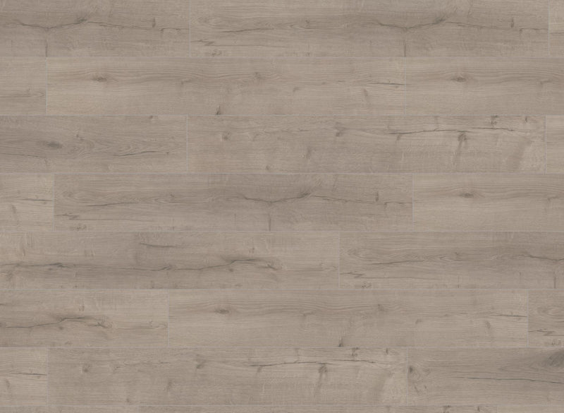 EFS Wood Evolution Fission Husky Oak Grey Water-Resistant Laminate Flooring 12mm AC4 - Easy Floor Store