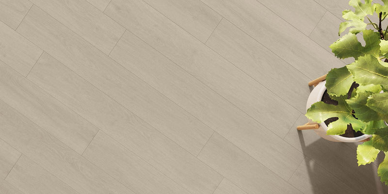 Invictus Maximus Glue-Down Plank LVT Elegant Oak - Vanilla - Easy Floor Store