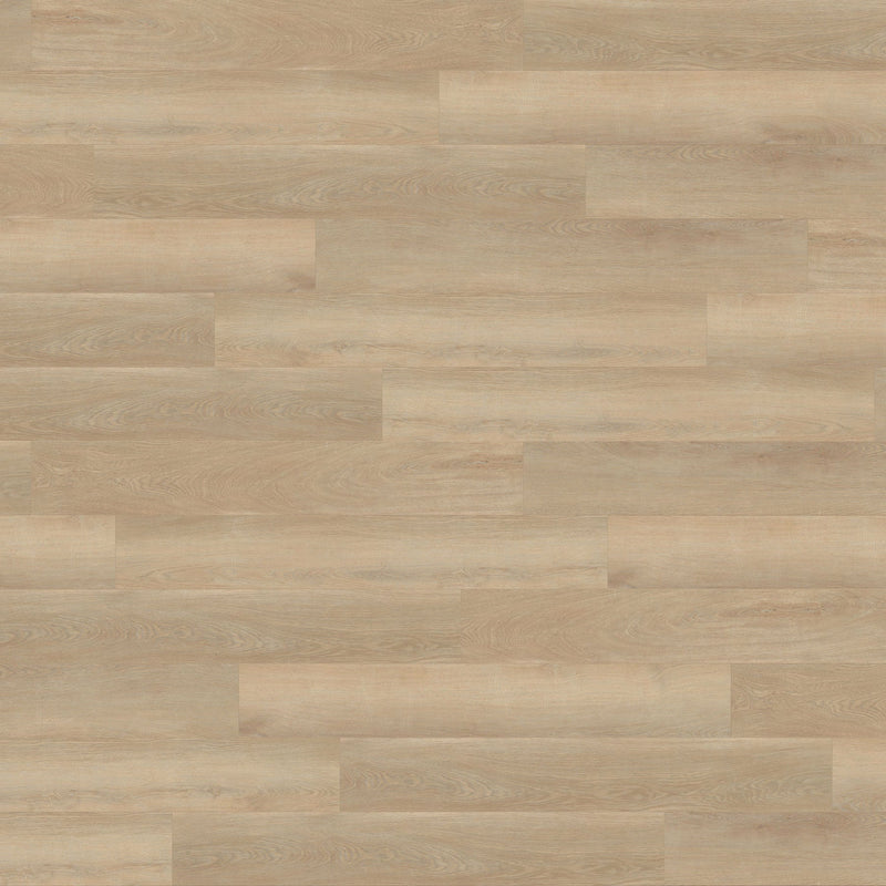 Brampton Chase Dry Back LVT Studio Designs Blonde Oak Large Plank - Easy Floor Store