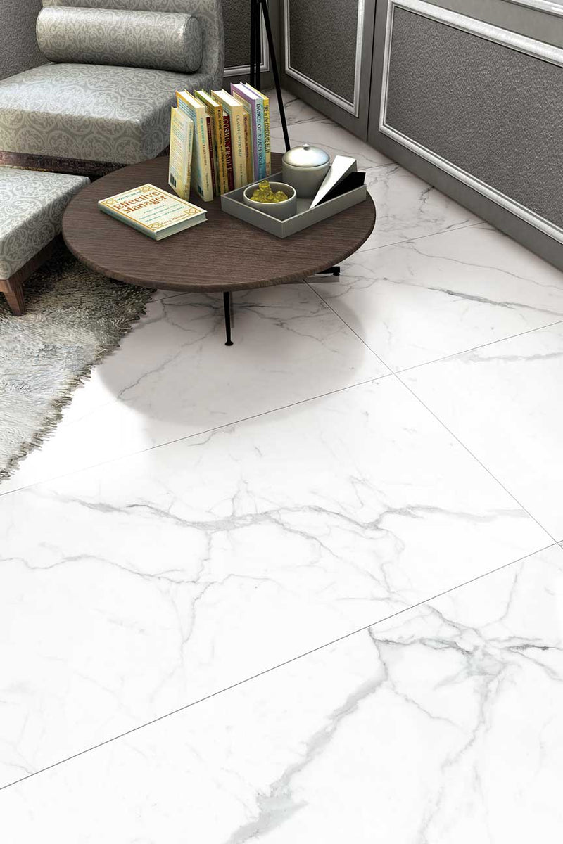 Floor & Wall Python Ariston Gloss 60x60 - Easy Floor Store