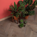 Woodpecker Goodrich Herringbone Barn Oak - Easy Floor Store